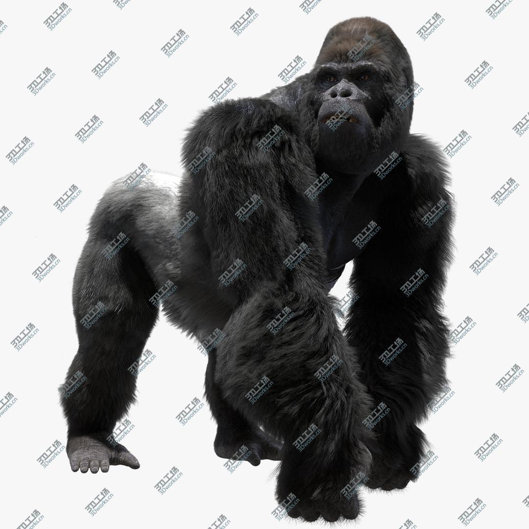 images/goods_img/20210114/Mountain Gorilla Fur (Rigged) 3D model/1.jpg